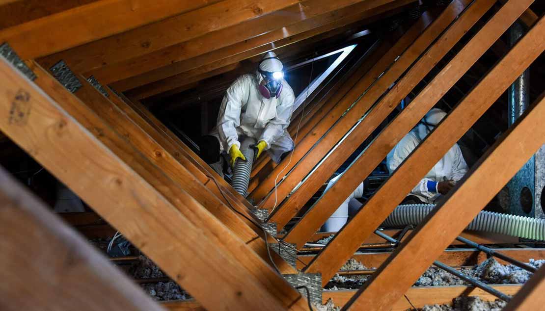 Time for an Attic Cleanup?