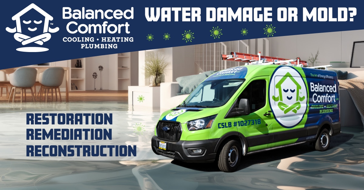 Water damage cleanup, mitigation, restoration, reconstruction, mold remediation and removal services
