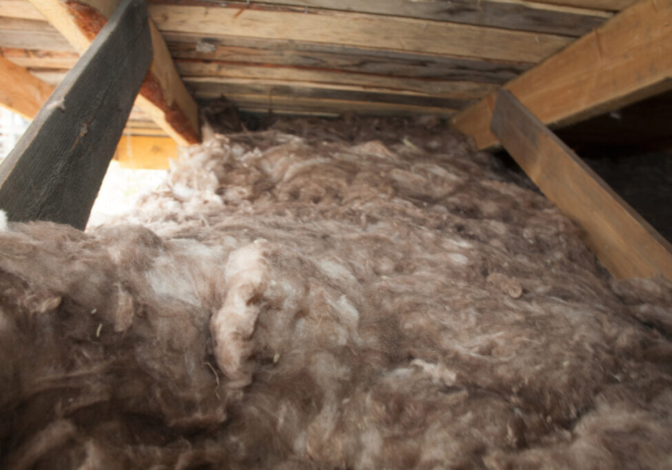 Fluffy brown sheep wool insulation fills a wooden attic space, showcasing sustainable building materials in the blown-in insulation vs batts comparison